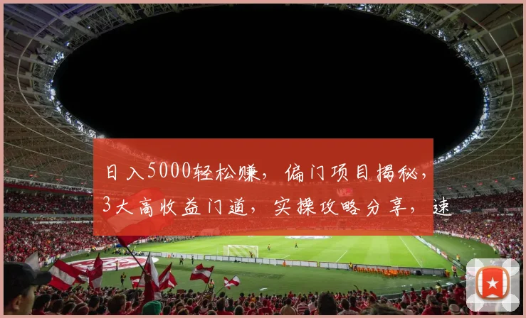 日入5000轻松赚，偏门项目揭秘，3大高收益门道，实操攻略分享，速来学习