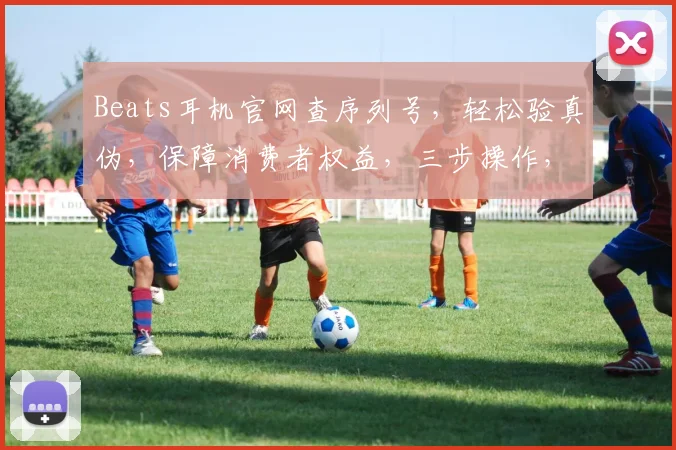 Beats耳机官网查序列号，轻松验真伪，保障消费者权益，三步操作，放心购