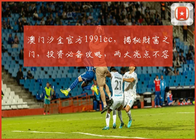 澳门沙金官方1991cc，揭秘财富之门，投资必备攻略，两大亮点不容错过