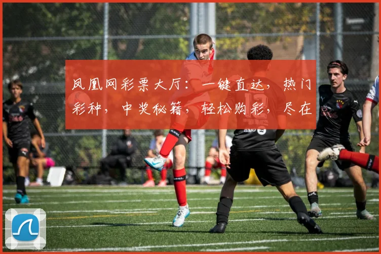凤凰网彩票大厅：一键直达，热门彩种，中奖秘籍，轻松购彩，尽在掌握，不容错过